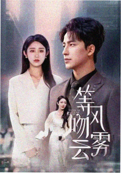 城南旧事录剧集海报